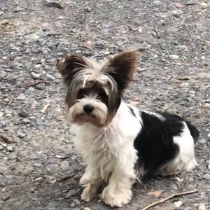 Meet your Posher, Pam